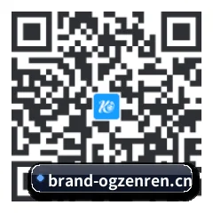 Android 全机型适配版 二维码